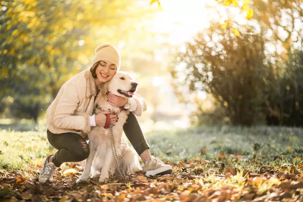 Léčba epilepsie u psa: doživotní onemocnění lze alespoň zmírnit díky lékům a prostředí