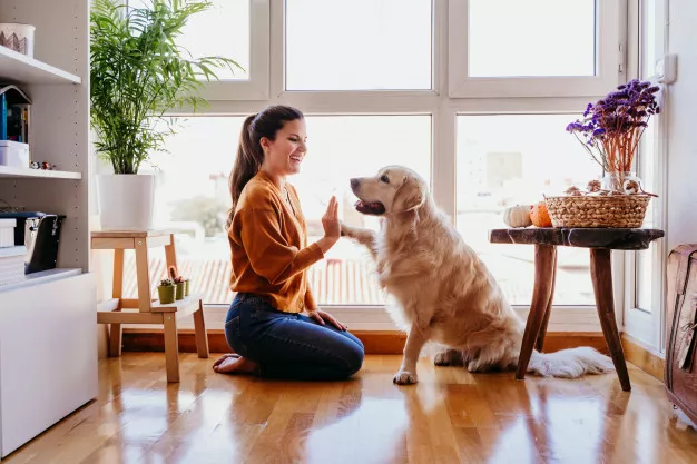 Jak zabavit psa doma snadno a rychle? Přinášíme netradiční nápady na hry