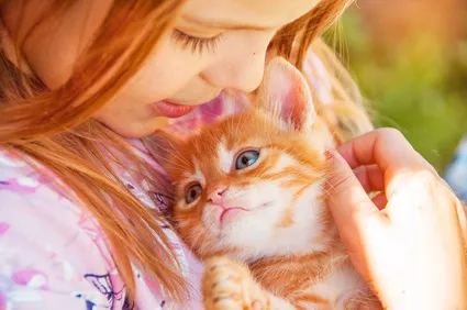 Felinoterapie: Když kočky léčí