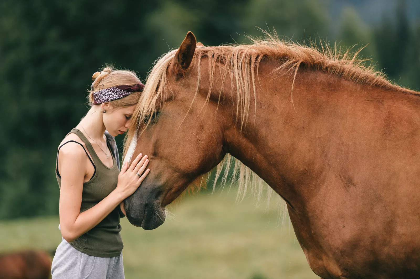 Hipoterapie: Kůň terapeutem